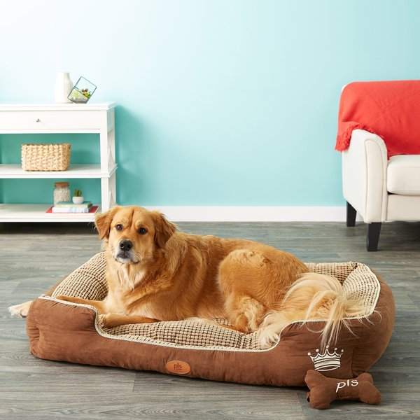 Birdsong 2024 dog beds