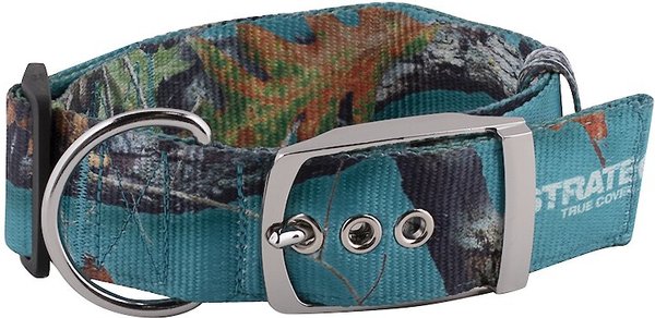 Teal camo dog clearance collar