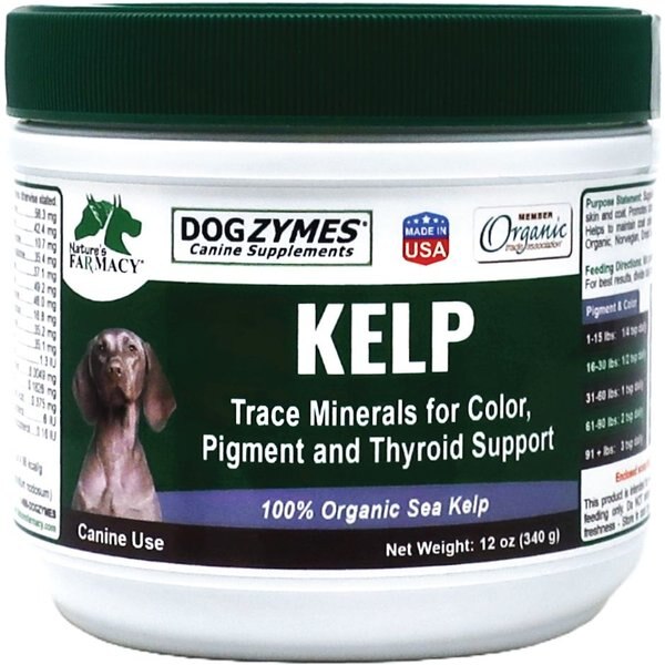 ANIMAL ESSENTIALS Ocean Kelp Dog & Cat Supplement, 8oz bag