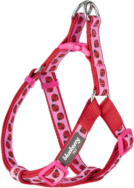 Blueberry Pet Spring Prints Nylon Step In Back Clip Dog Harness, Ladybug, Medium: 20 to 26-in chest slide 1 of 8