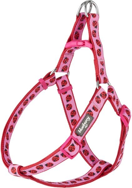 Blueberry Pet Spring Prints Nylon Step In Back Clip Dog Harness, Ladybug, Large: 26 to 39-in chest slide 1 of 8