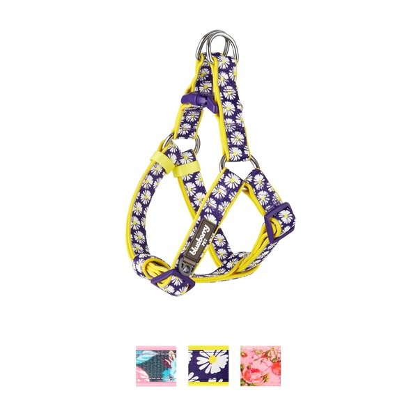 Blueberry Pet Floral Prints Neoprene Step In Back Clip Dog Harness, Daisy, Medium: 20 to 26-in chest slide 1 of 8
