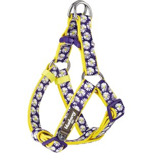 Blueberry Pet Floral Prints Neoprene Step In Back Clip Dog Harness, Daisy, Medium: 20 to 26-in chest