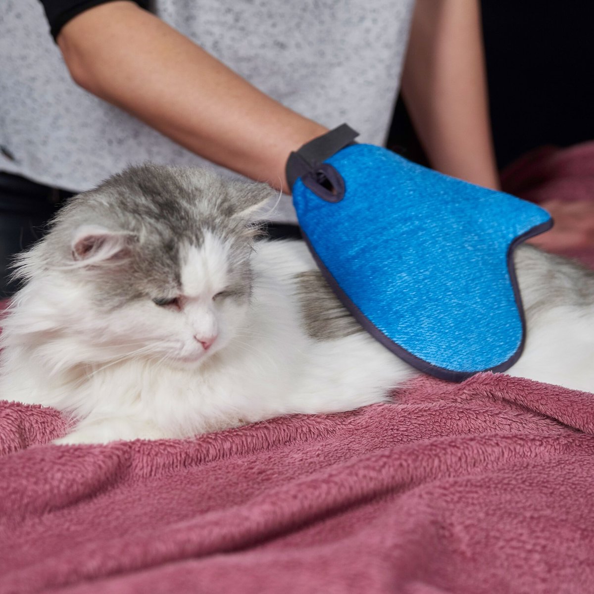 PAT YOUR PET 2 in 1 Grooming & Furniture Pet Hair Remover Glove