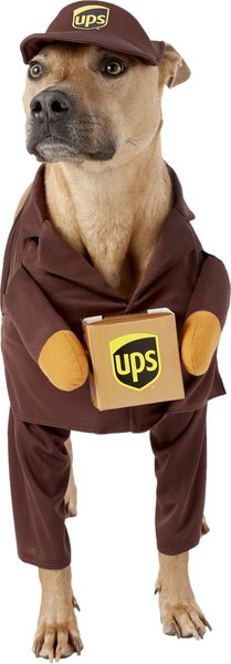 Dog 2025 ups outfit