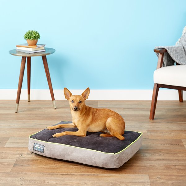 Better World Pets Orthopedic Pillow Dog Bed w/Removable Cover, Rave Green, Small slide 1 of 10