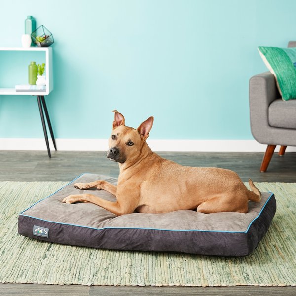 Discontinued BETTER WORLD PETS Orthopedic Pillow Dog Bed w/Removable Cover, Ocean Blue, Large