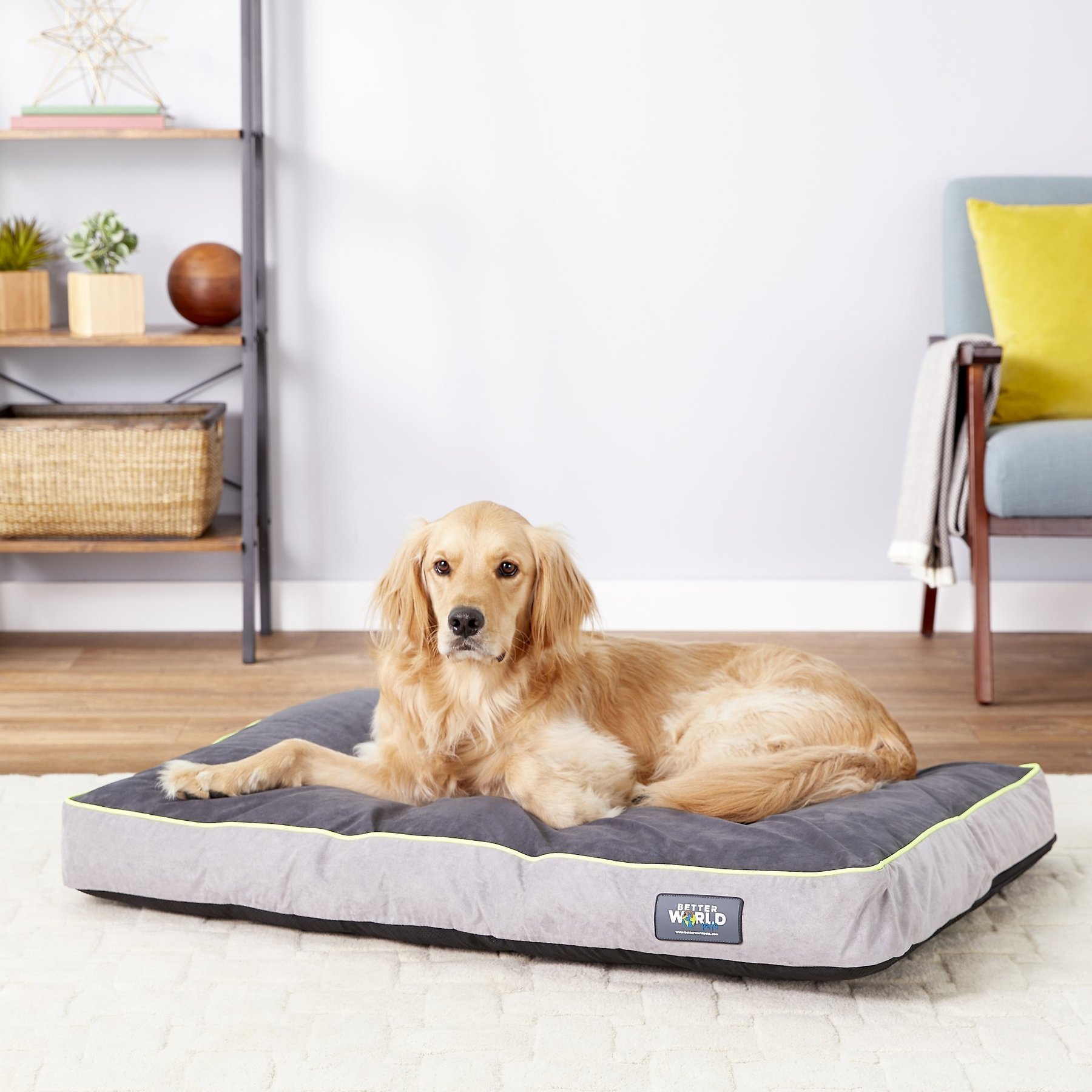 Out of Stock BETTER WORLD PETS Orthopedic Pillow Dog Bed with Removable Cover Rave Green Medium Chewy