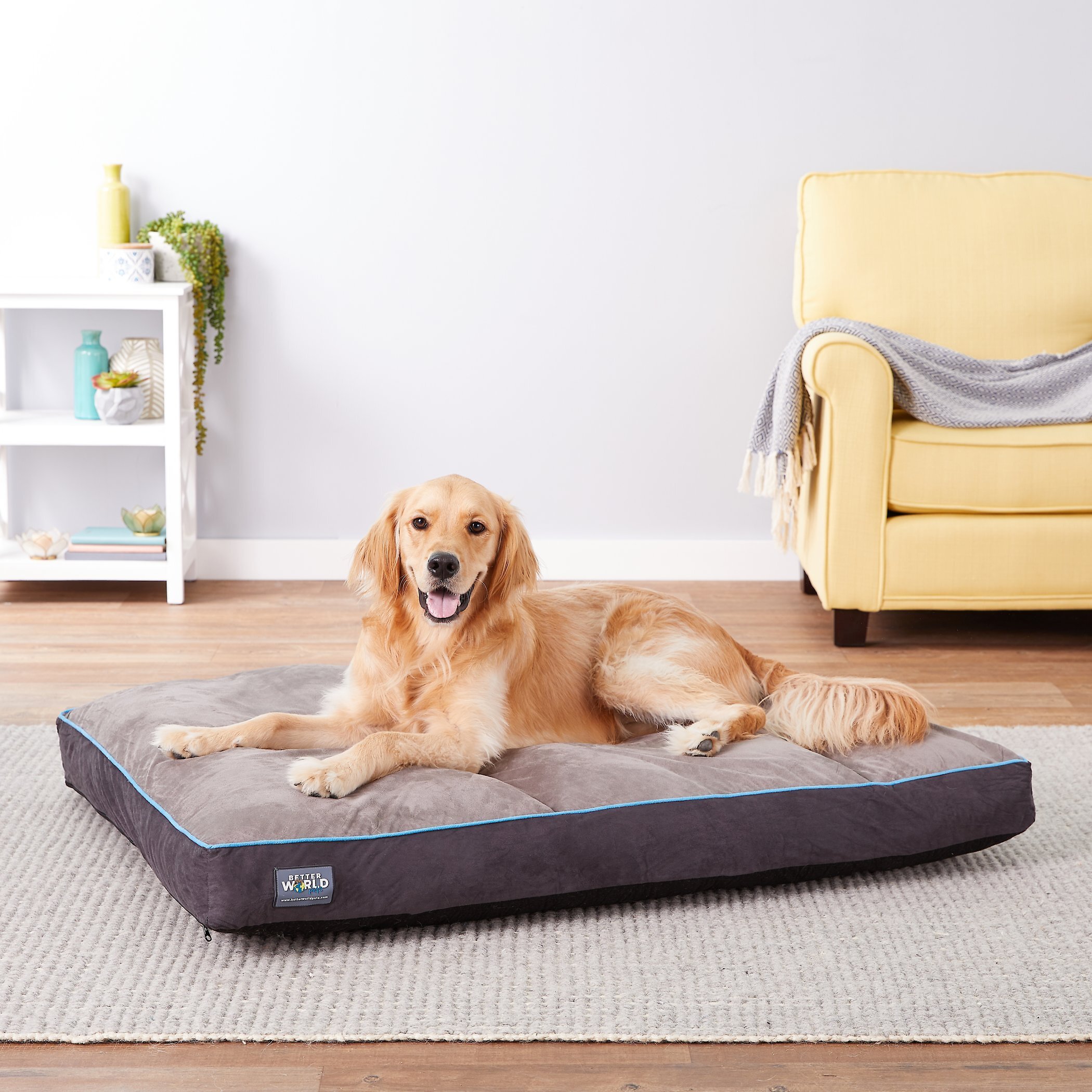 Better world clearance dog bed