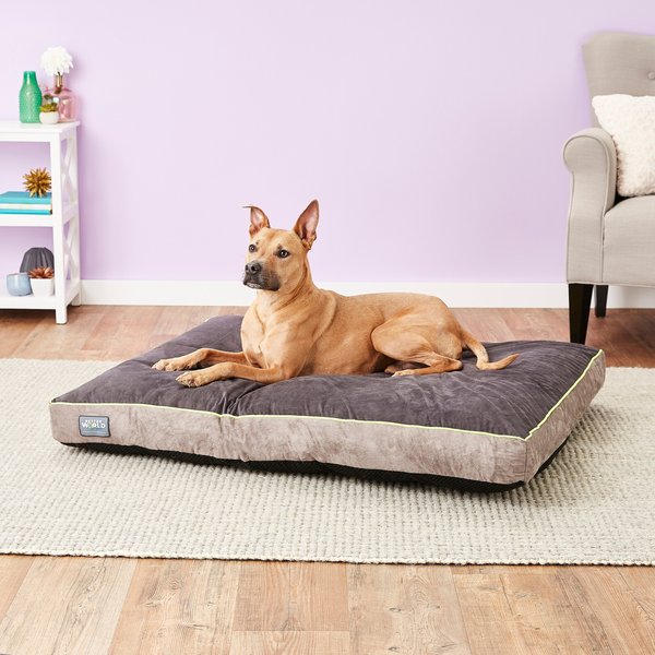 Discontinued BETTER WORLD PETS Orthopedic Pillow Dog Bed w Removable Cover Rave Green X Large Chewy