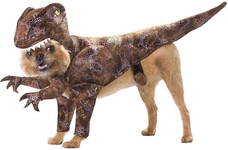 T rex dog on sale costume