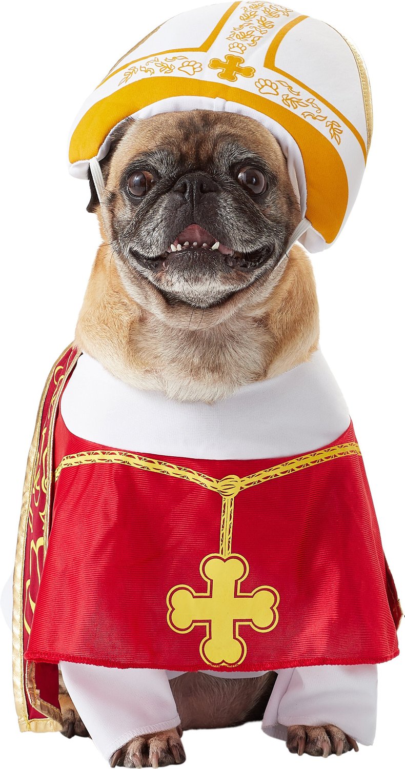 Dog Pope Costume
 CALIFORNIA COSTUMES Holy Hound Pope Dog Costume Medium Chewy