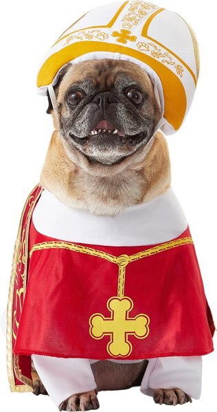California Costumes Holy Hound Pope Dog Costume, Medium slide 1 of 7
