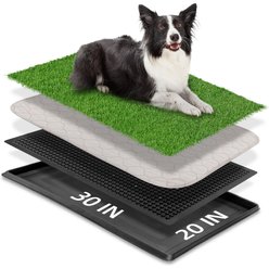 Potty training fashion aids for dogs