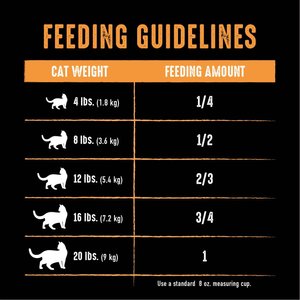 Crave with Protein from Chicken Adult Grain-Free Dry Cat Food, 10-lb bag