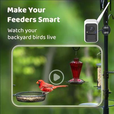 Show full view: Birdfy Cam Smart Bird Feeder Cam with Motion Detection Wireless Camera, Solar Panel & AI by Subscription Recognition, White slide 2 of 6