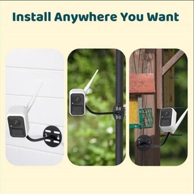 Show full view: Birdfy Cam Smart Bird Feeder Cam with Motion Detection Wireless Camera, Solar Panel & AI by Subscription Recognition, White slide 4 of 6