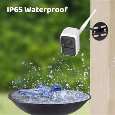 Show full view: Birdfy Cam Smart Bird Feeder Cam with Motion Detection Wireless Camera, Solar Panel & AI by Subscription Recognition, White slide 5 of 6