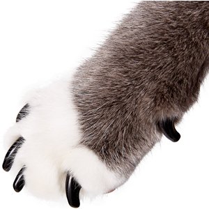 Purrdy Paws Soft Cat Nail Caps, 40 count, Medium, Black