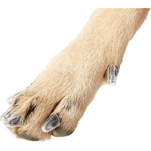 Dog rubber nail on sale covers