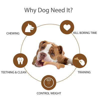 Show full view: EYS Tough Durable Wooden Antler Dog Chew Toy, Medium slide 2 of 5