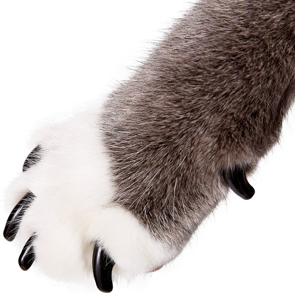 Purrdy Paws Soft Cat Nail Caps, 20 count, Medium, Black slide 1 of 10