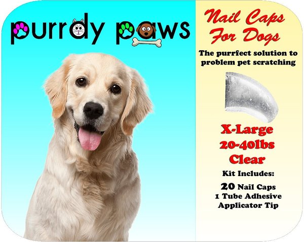 Purrdy paws soft dog nail caps best sale