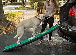 Pet Gear Travel Lite Tri-Fold Dog & Cat Ramp with SupertraX, Black/Green