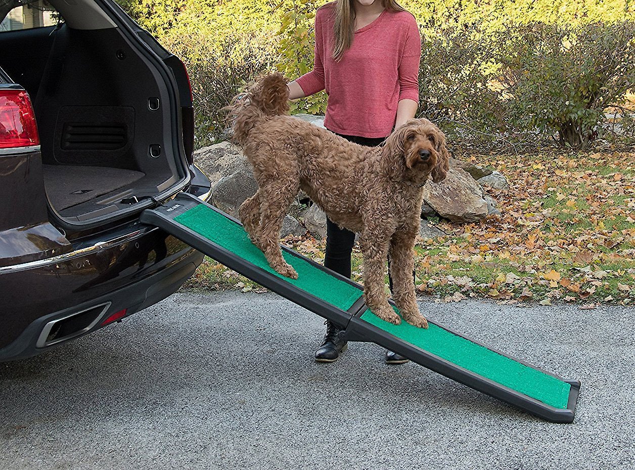 Pet Gear Bi-Fold Dog Car Ramp with SupertraX, Black/Green