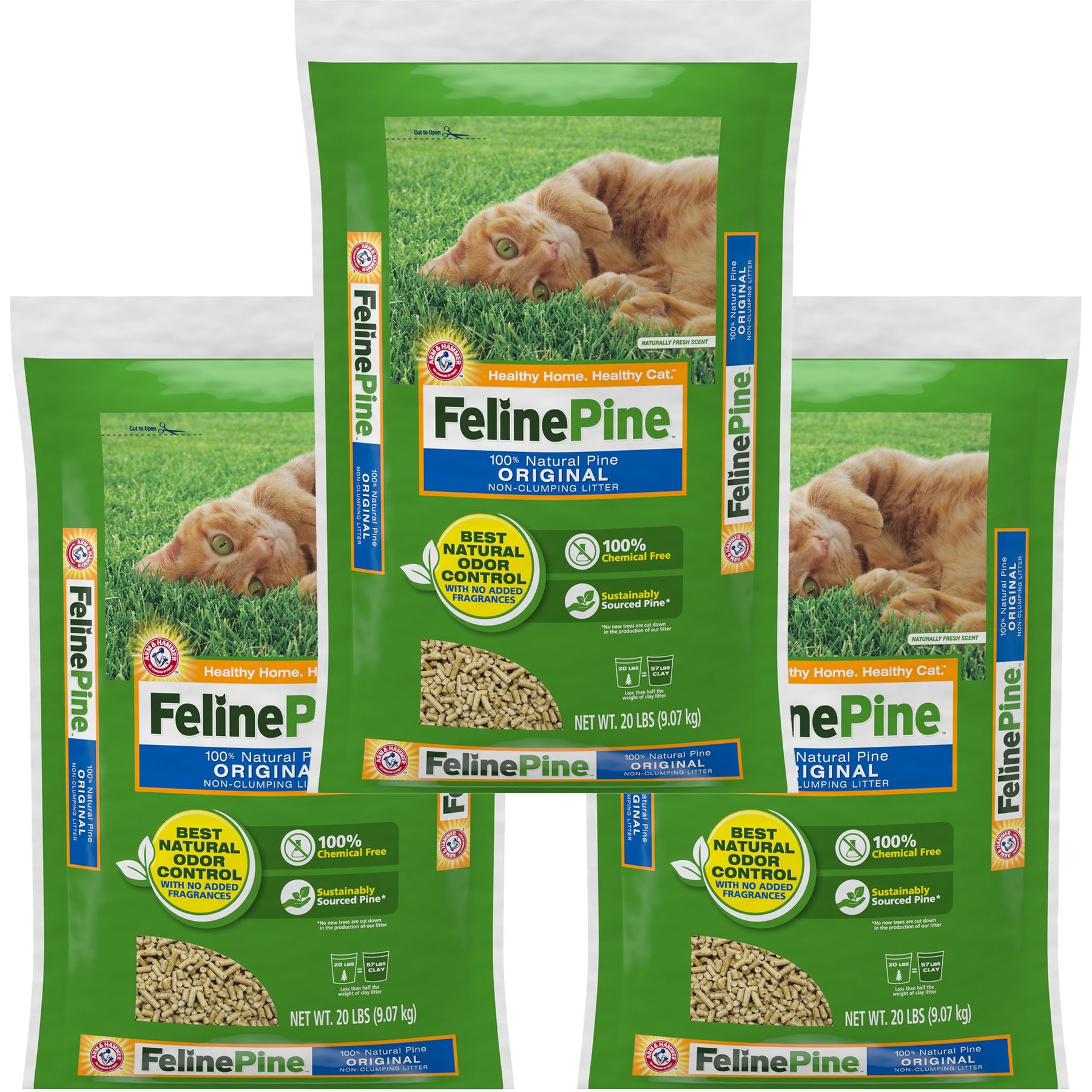 Non clumping cat litter for kittens best sale