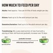 The Honest Kitchen Grain-Free Turkey Pate Wet Cat Food