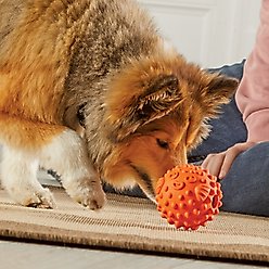 Brightkins Pufferfish Tough & Tumble Treat Dispenser Dog & Cat Toy, Orange, Small slide 2 of 5