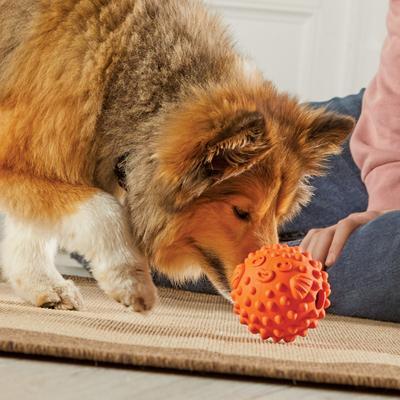 Show full view: Brightkins Pufferfish Tough & Tumble Treat Dispenser Dog & Cat Toy, Orange, Small slide 5 of 6