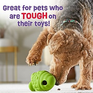 Brightkins Gnome Tough & Tumble Treat Dispenser Dog & Cat Toy, Green, Small