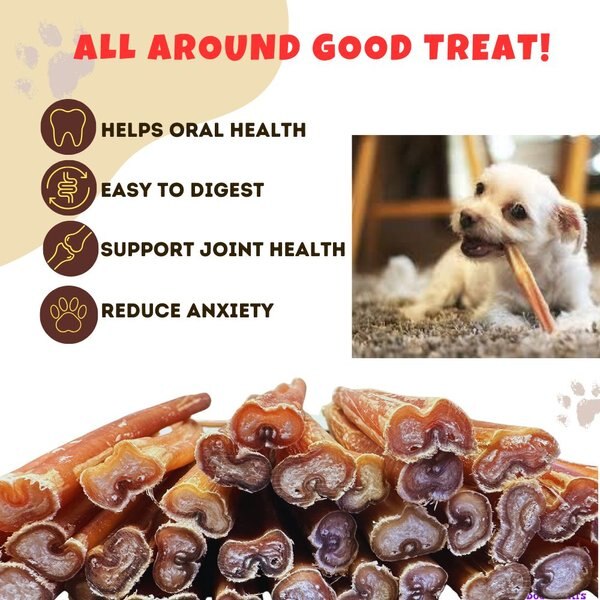 Amazing Dog Treats Adult 6-inch Medium Size Beef Bully Stick Dog Treats, 16 count