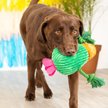 Fringe Studio You Grow, Chica! Squeaky Plush Dog Toy