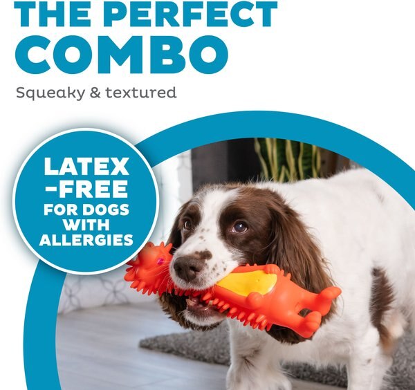 Outward Hound Squeaky Soft Fetch Flyer Frizbee Dog Toy