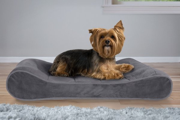 FurHaven Microvelvet Luxe Lounger Orthopedic Cat & Dog Bed w/Removable Cover, Gray, Medium slide 1 of 10
