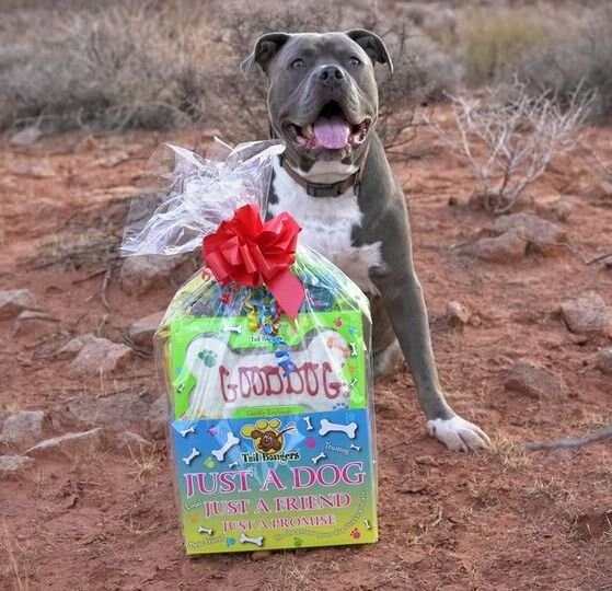 TAIL BANGERS 'Good Dog' Basket Variety Pack Crunchy Dog Treats