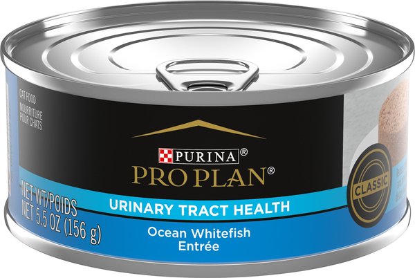 Purina Pro Plan Focus Adult Classic Urinary Tract Health Formula Ocean Whitefish Entree Canned Cat Food, 5.5-oz, case of 24 slide 1 of 9