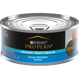 Purina Pro Plan Focus Adult Classic Urinary Tract Health Formula Ocean Whitefish Entree Canned Cat Food, 5.5-oz, case of 24