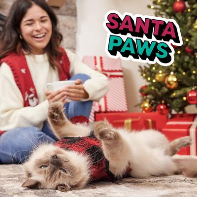 Show full view: Temptations Mixups Catmas Casserole Catnip Fever Flavor Soft & Crunchy Cat Treats, 3-oz pouch slide 10 of 11