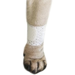 PawFlex Basic Disposable Dog Bandage, 4 count, Small