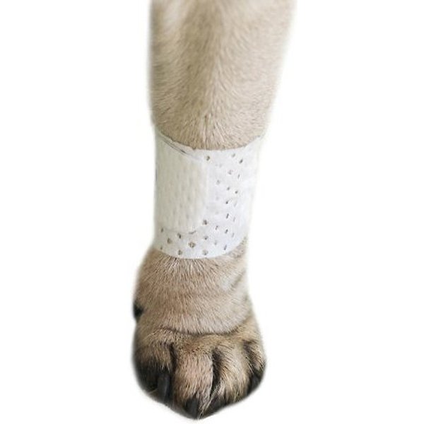 PAWFLEX Basic Disposable Dog Bandage, 4 count, Large/XLarge