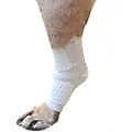 PawFlex Universal/Joint Disposable Dog Bandage, 4 count, Small