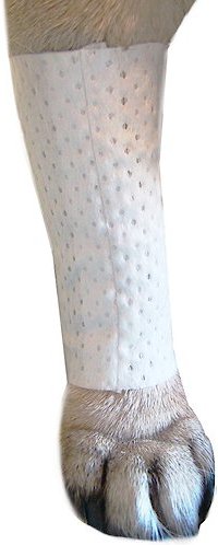 PawFlex Protective Sleeve Disposable Dog Bandage Cover, 3 count, X-Large slide 1 of 11
