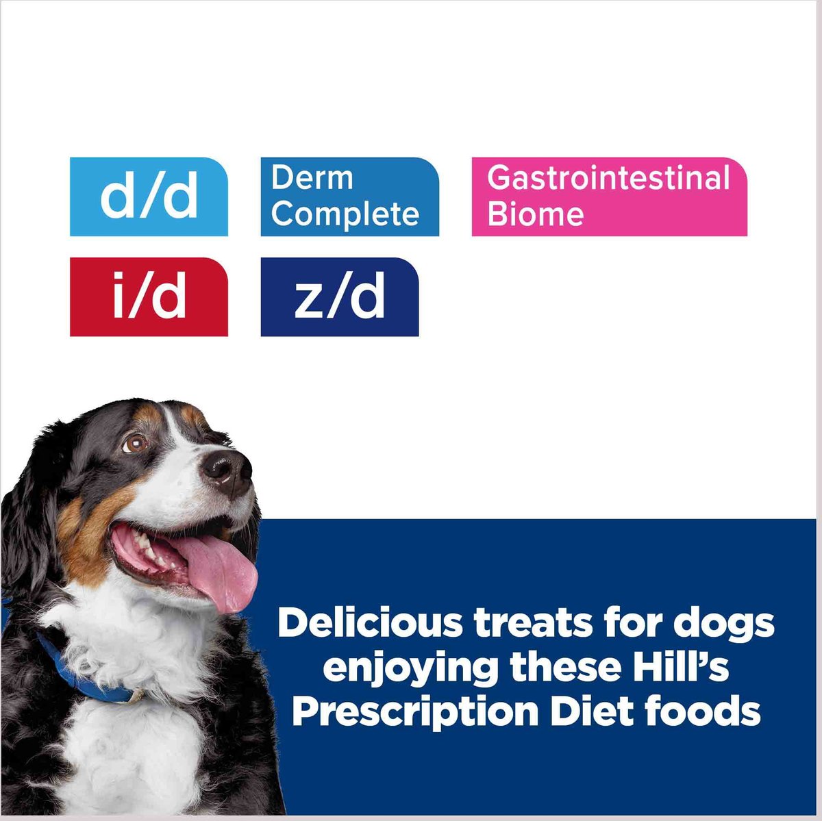 Science diet discount hypoallergenic dog treats