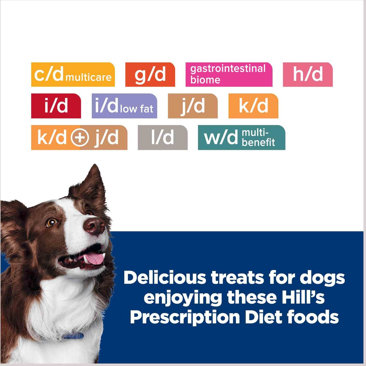 Kd dog clearance treats