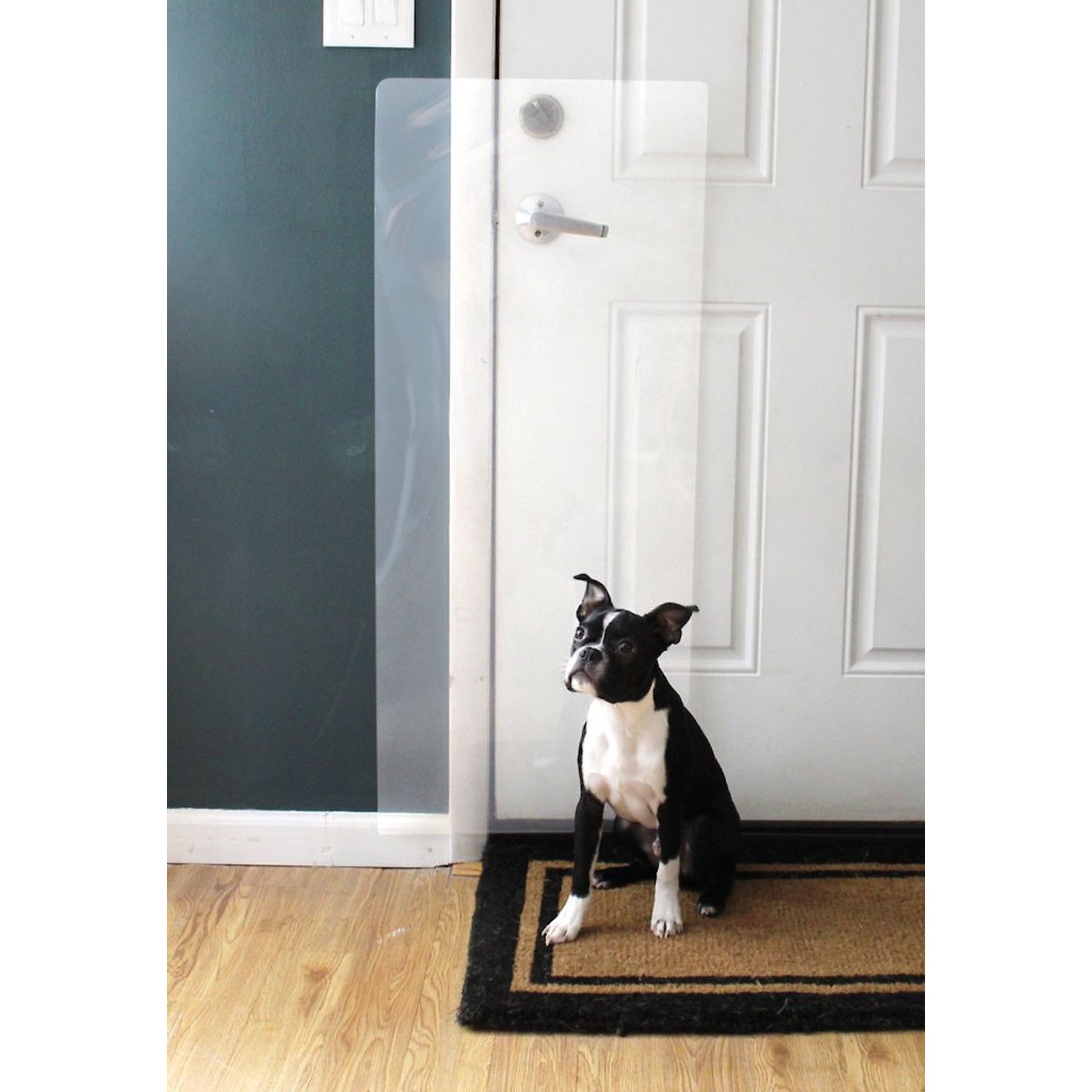 Door Scratch Protector, 118 x 7.9 Anti-Scratch Guard for Furniture and  Wall, Door Scratch Shield for Dog and Cat Clawing, Scratching and Damaging