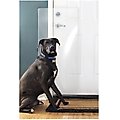 CLAWGUARD Heavy Duty Door Scratch Shield, 44 x 20 in